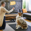 Effective Techniques for Teaching 'Sit' to Your Puppy