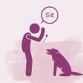 Essential Questions to Consider When Choosing a Dog Trainer