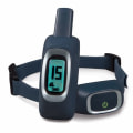 Exploring Remote Training Options for Your Dog