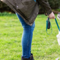 Identifying Warning Signs When Selecting a Dog Trainer