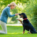 Understanding Canine Body Language for Better Training