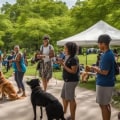 Connecting Dog Owners: Online Forums and Communities for Training Support