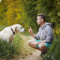 Effective Techniques for Teaching 'Leave It' to Puppies