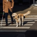 Understanding the Role of Service Dogs for the Visually Impaired