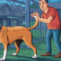 Understanding and Managing Territorial Aggression in Dogs