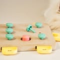 Measuring Progress in Dog Training