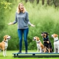 Understanding Desensitization Techniques for Dog Training
