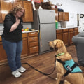 Understanding the Legal Framework for Service Dogs