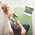 Top Online Platforms for Dog Training Courses