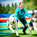 Adjusting Training Plans for Your Dog's Success