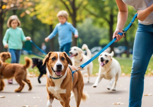 Understanding Distraction Training for Dogs