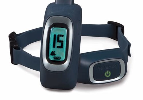 Exploring Remote Training Options for Your Dog