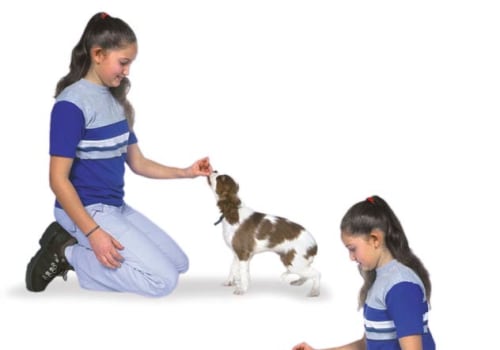 Teaching 'Down' to Your Puppy