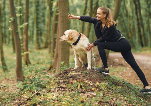 Creating a Consistent Routine for Your Dog's Training Success