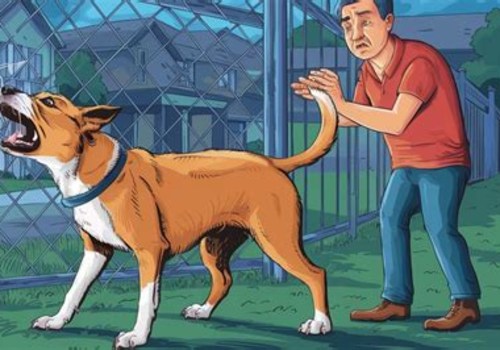 Understanding and Managing Territorial Aggression in Dogs