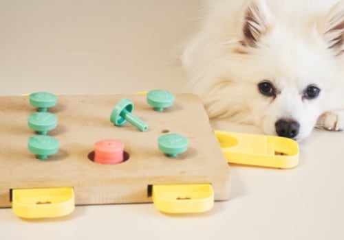 Measuring Progress in Dog Training