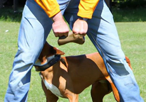 Understanding Counter-Conditioning Methods for Dog Training