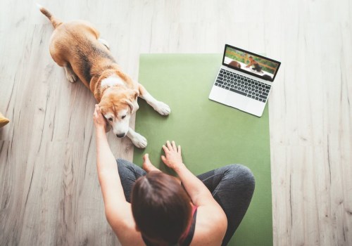 Top Online Platforms for Dog Training Courses