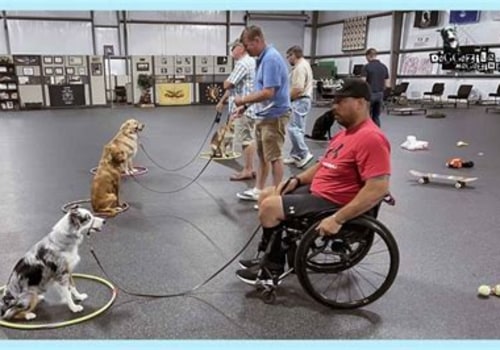 Understanding Certification Processes for Service Dogs